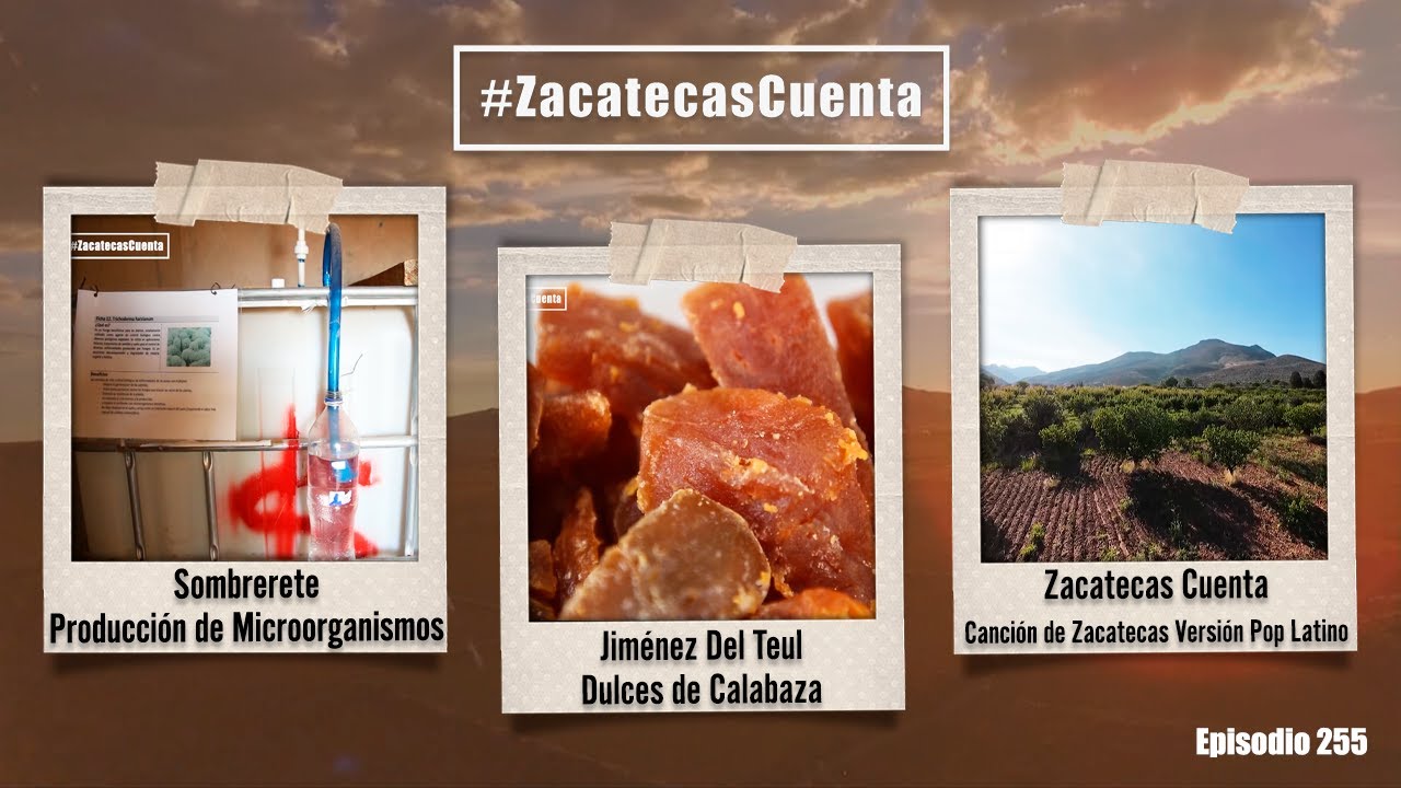 ZCE255 | Zacatecas Cuenta | Dulces, Microorganismos y Canción de Zacatecas Versión Pop Latino