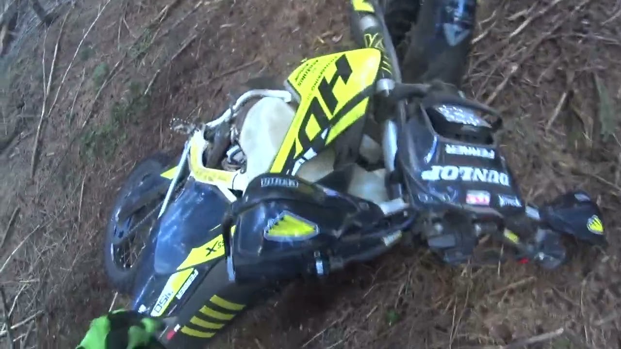 Awesome forest ride part 4