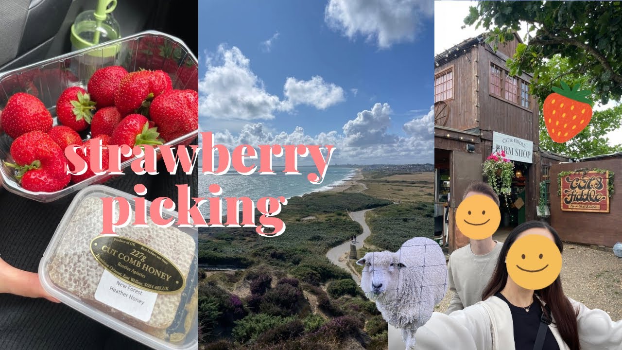 イギリスでいちご狩り🍓と絶景ハイキング⛰️｜私の一番お気に入りの場所🇬🇧✨