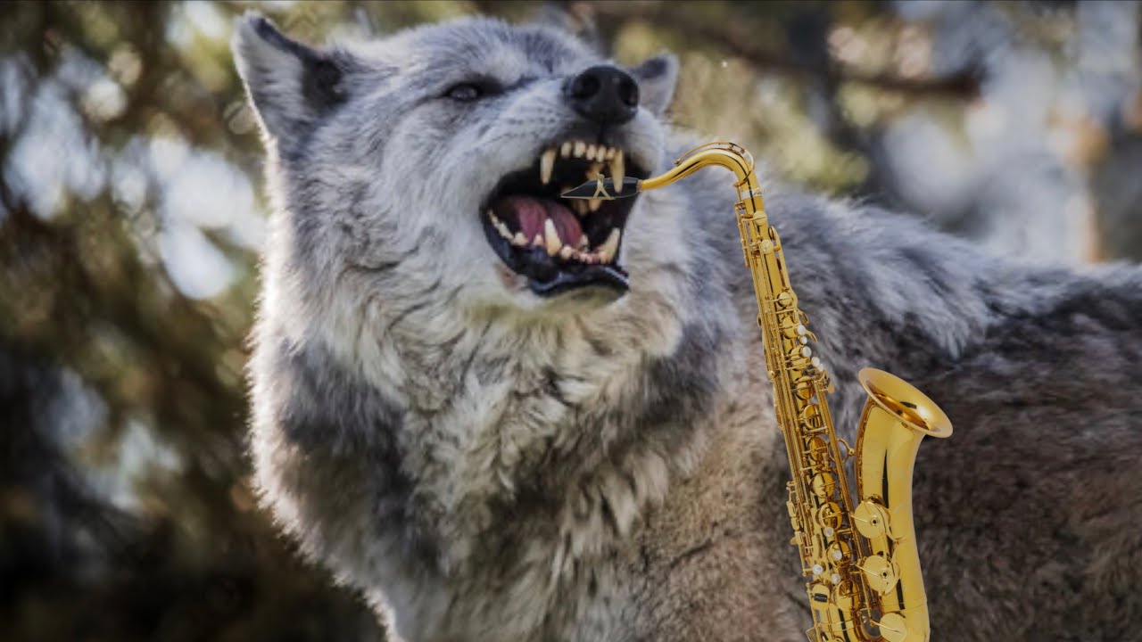 How to GROWL on the Saxophone! (the easy way)