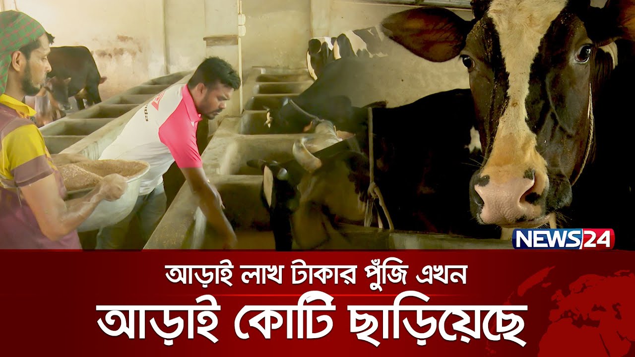 ব্যাংকের চাকরি ছেড়ে গরুর খামার করে কোটিপতি মুরাদ | Murad | News24