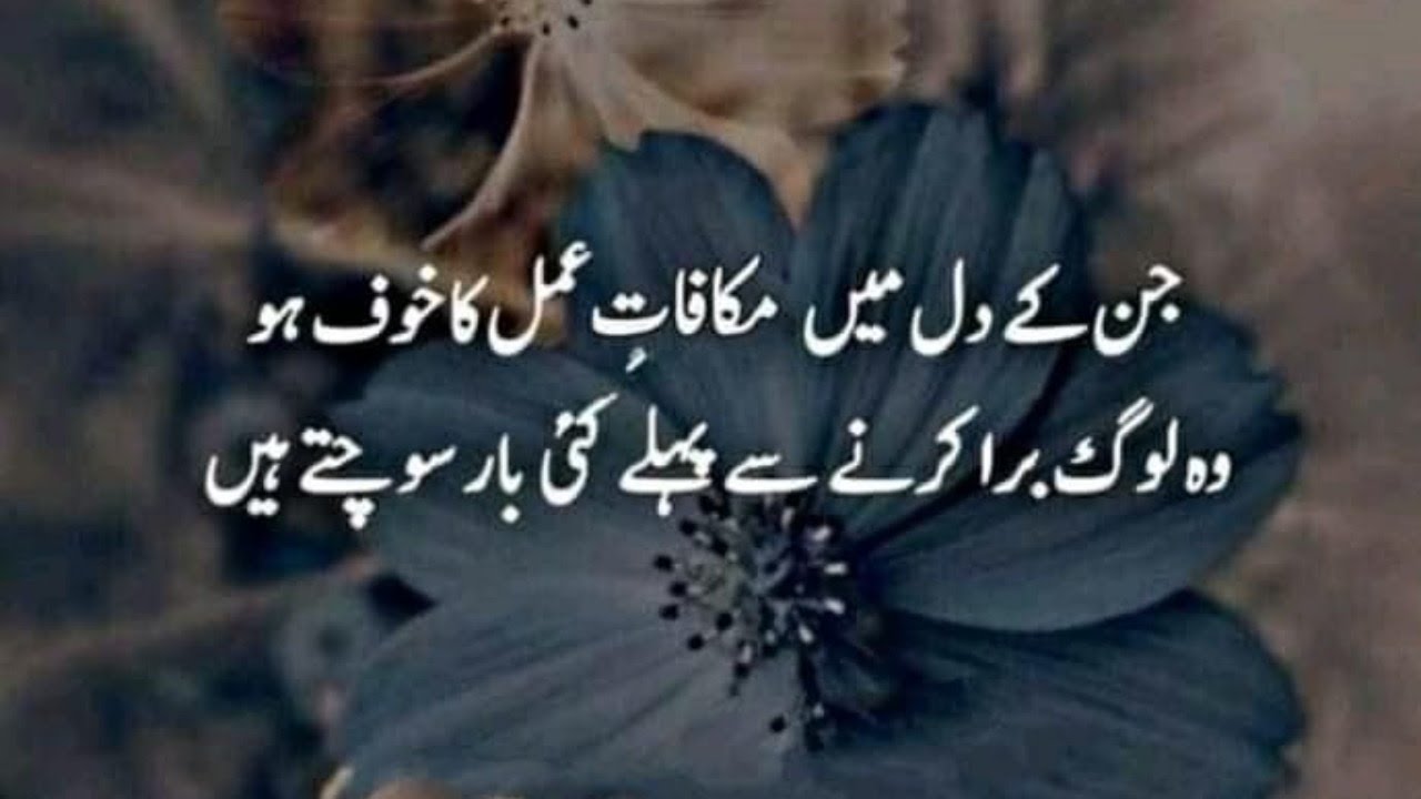 Welcome To My Live