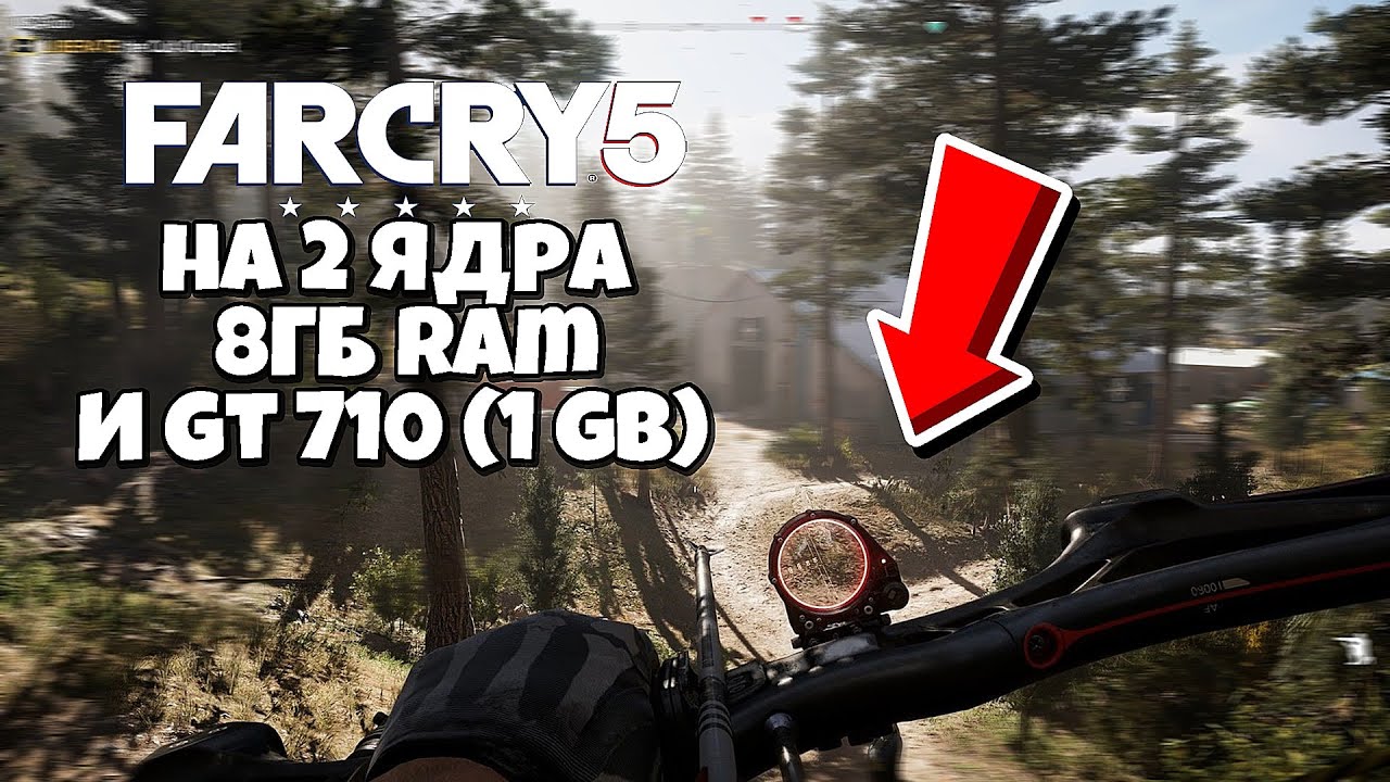 Запуск Far Cry 5 на AMD Phemon(tm) II X2 545 3.00 GHz, GT 710 (1GB), 8 GB RAM !