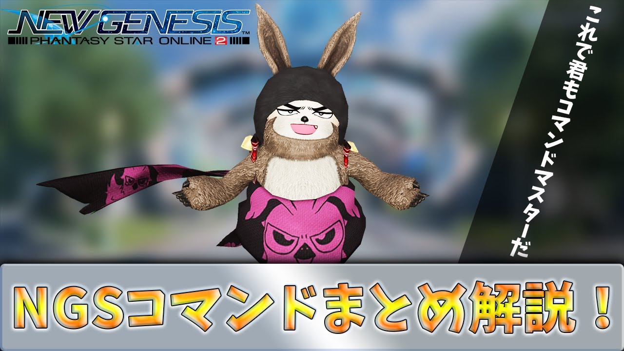 (PSO2NGS)コマンドをまとめて解説！！