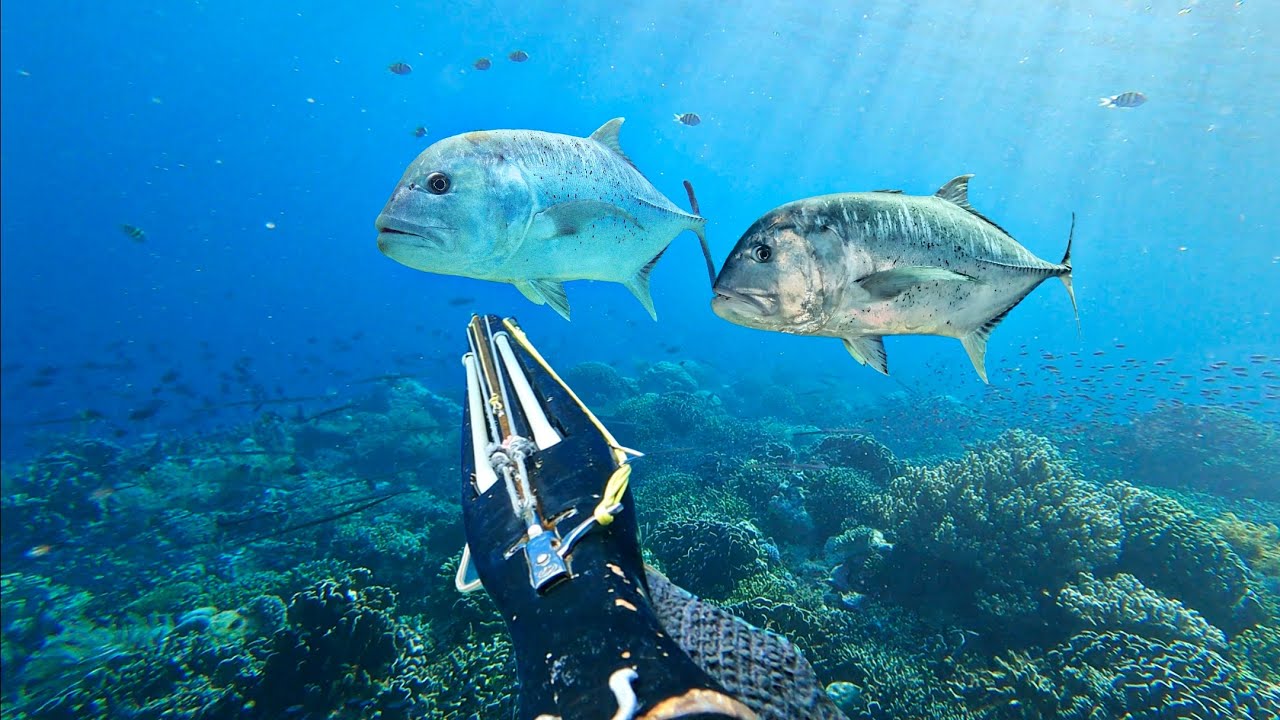 Pecah Rekor Baru!! 1 Menit Nyelam Langsung Dapat Ikan Monster