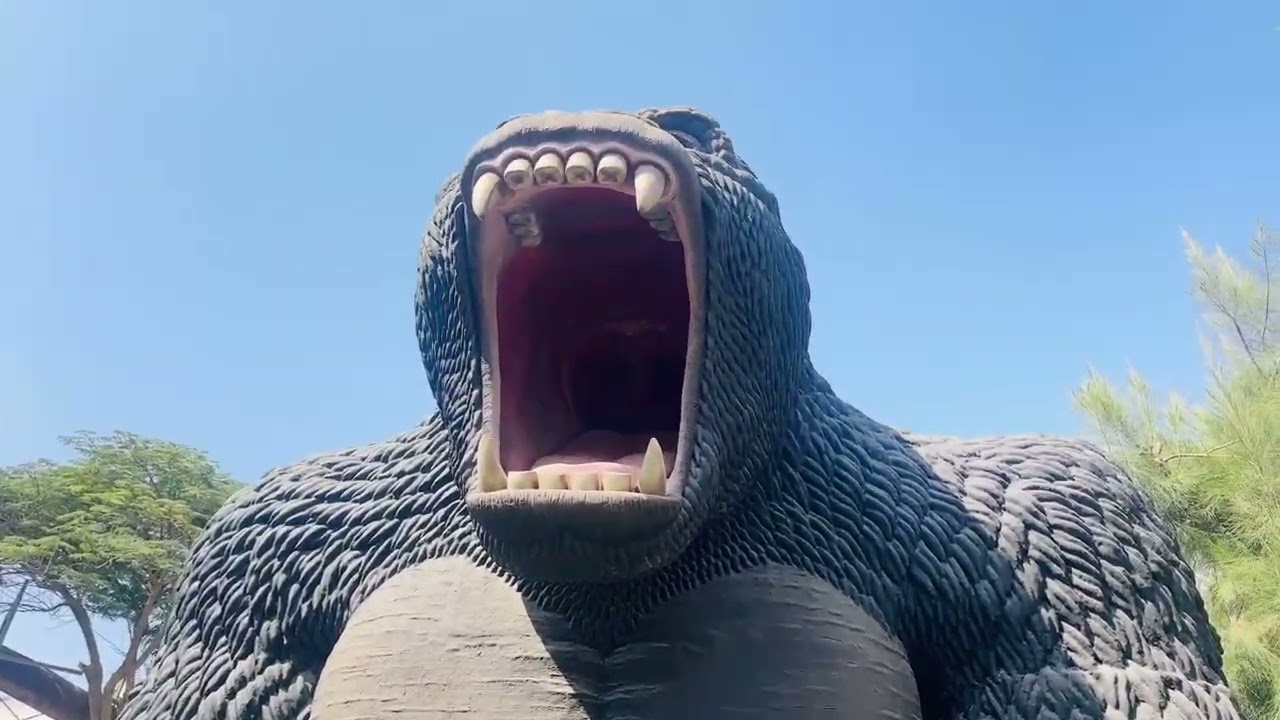 Emirates Park & Zoo Vlog #dubailife #abudhabilifestyle #zoo #engineer 