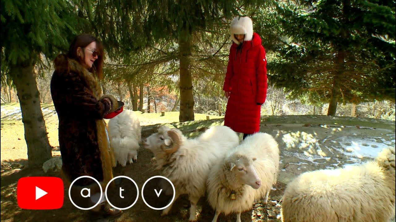 Hosszúhetény 2. rész