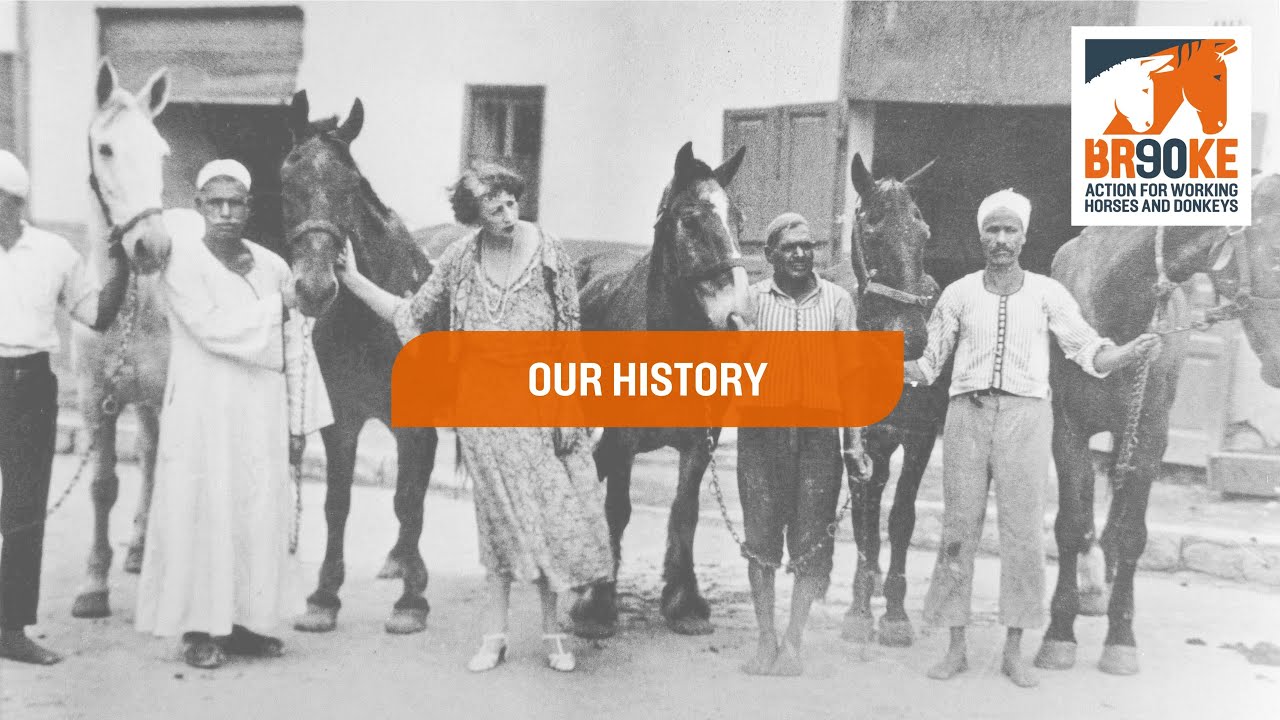 Brooke at 90 - A timeline through our history