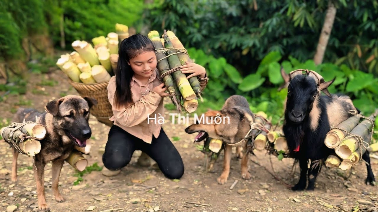 Vietnamese girl Ha Thi Muon goes to the market to buy shoes for her dog and goat
