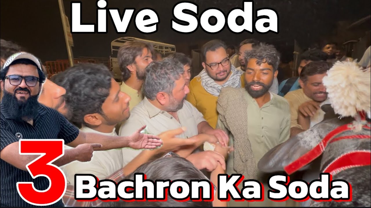 3 Bachron Ka Live Soda Kitne Ka bana | qurbani 2025 | sahiwal cholistani bachre | Lahore Cow Mandi
