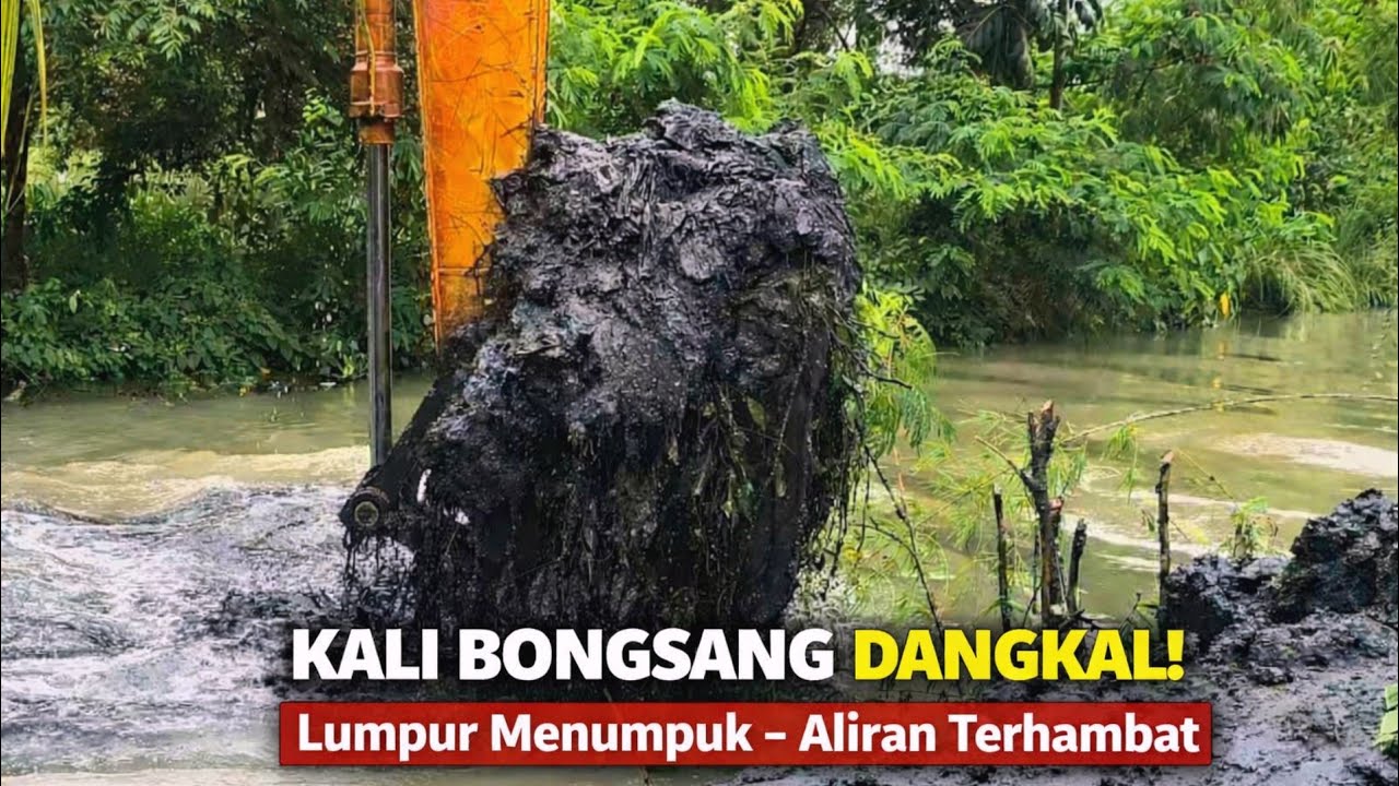 KALI BONGSANG DANGKAL‼️LUMPUR MENUMPUK-ALIRAN TERHAMBAT,ALIRAN KALI KE HILIR NGGAK NYAMPE #kdm 