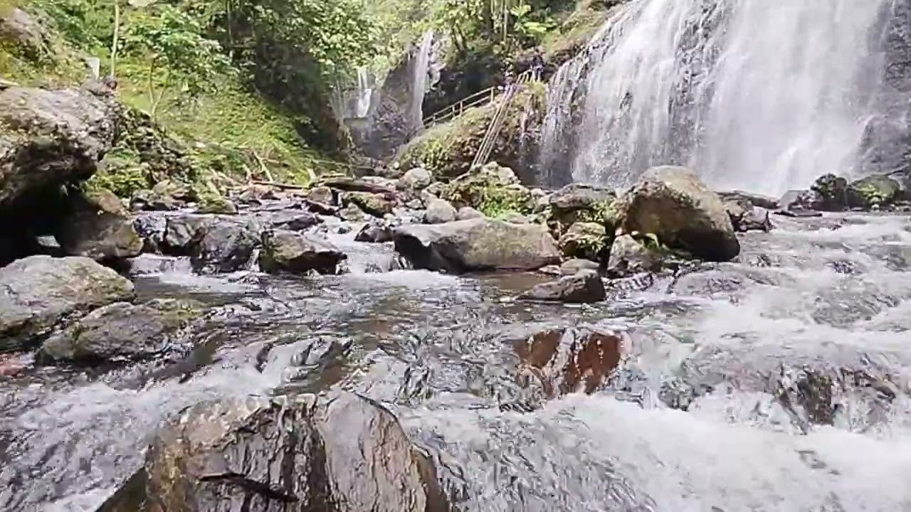 Calm Your Mind 🌿 Waterfall & Cicada Sounds for Sleep