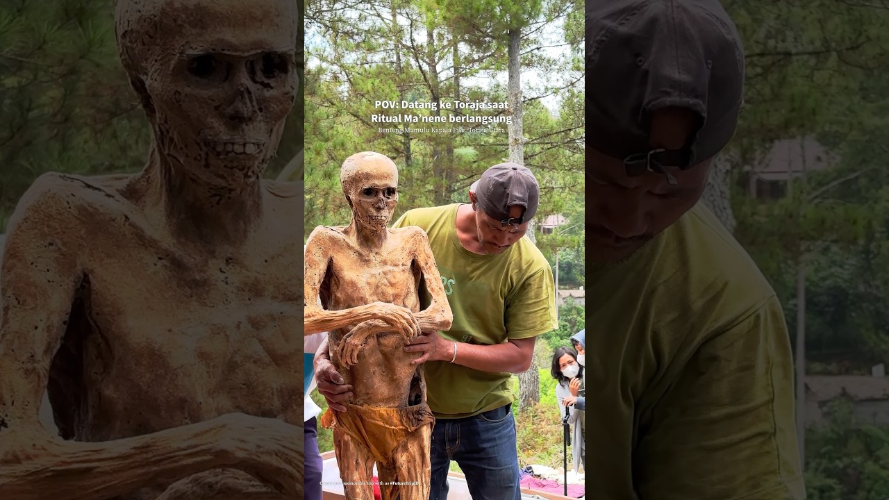 Tradisi Unik Suku Toraja #Manene #BudayaToraja #TripToraja