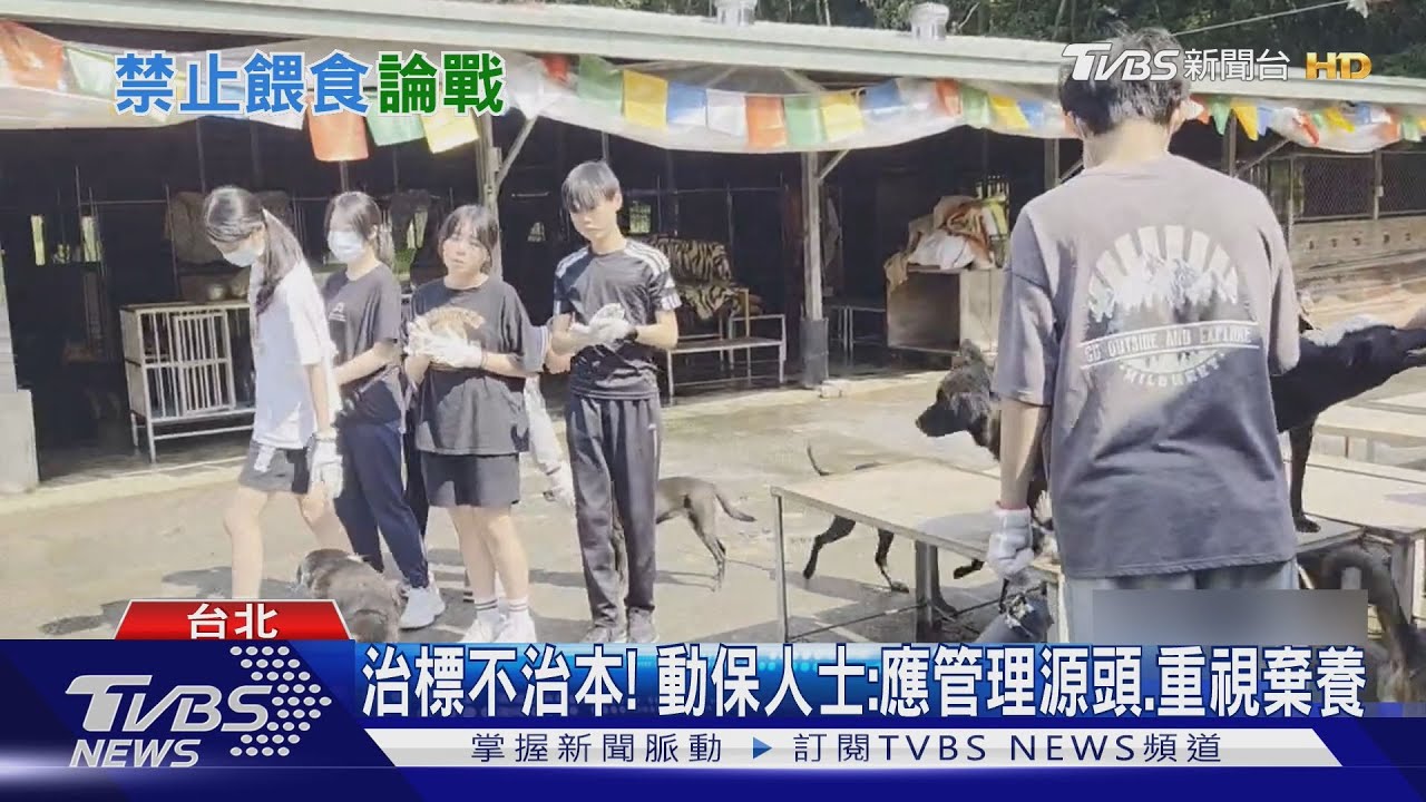 擬修法「禁餵浪浪」 動保團體控:餓死流浪貓狗｜TVBS新聞 @TVBSNEWS01