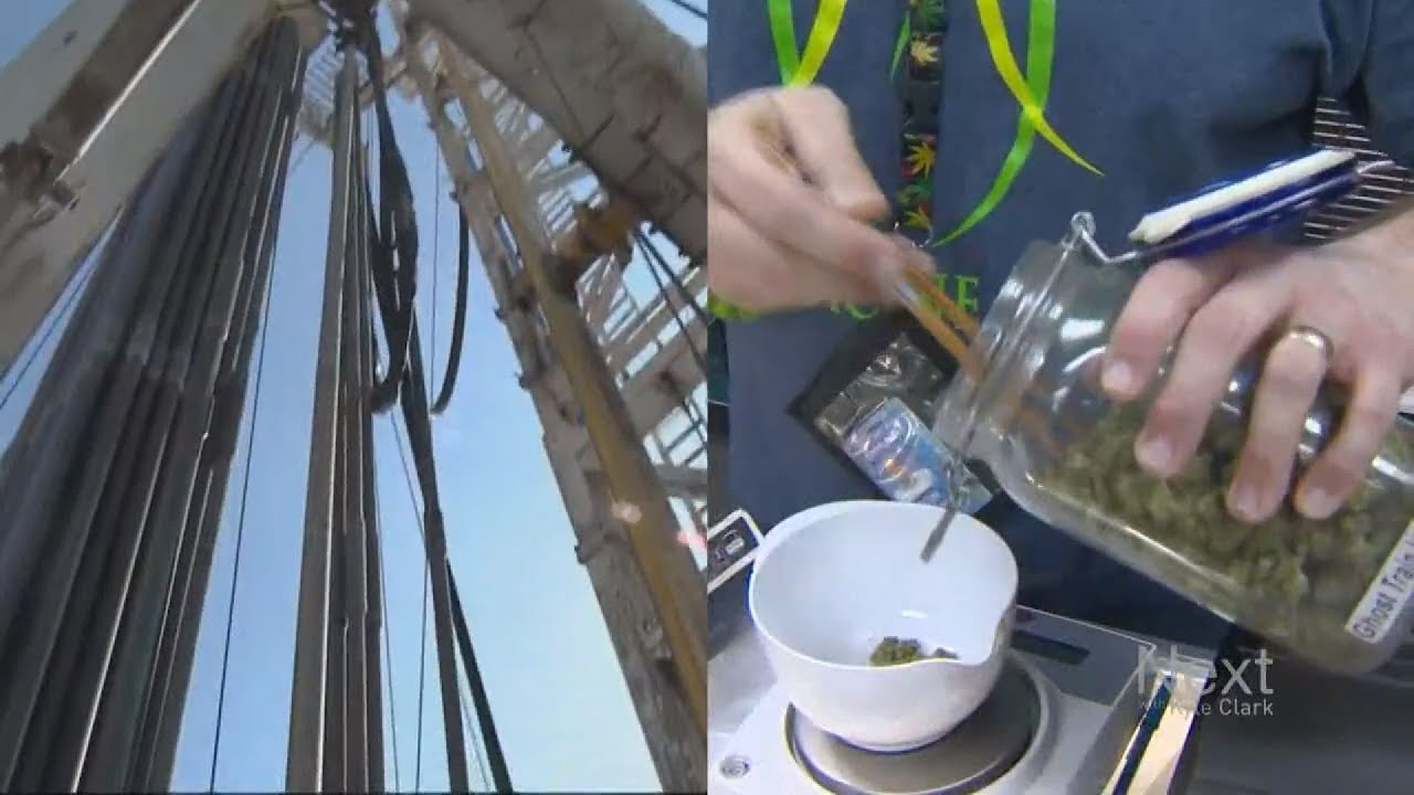 Colorado jobs: Do more people work for oil or the marijuana industry?