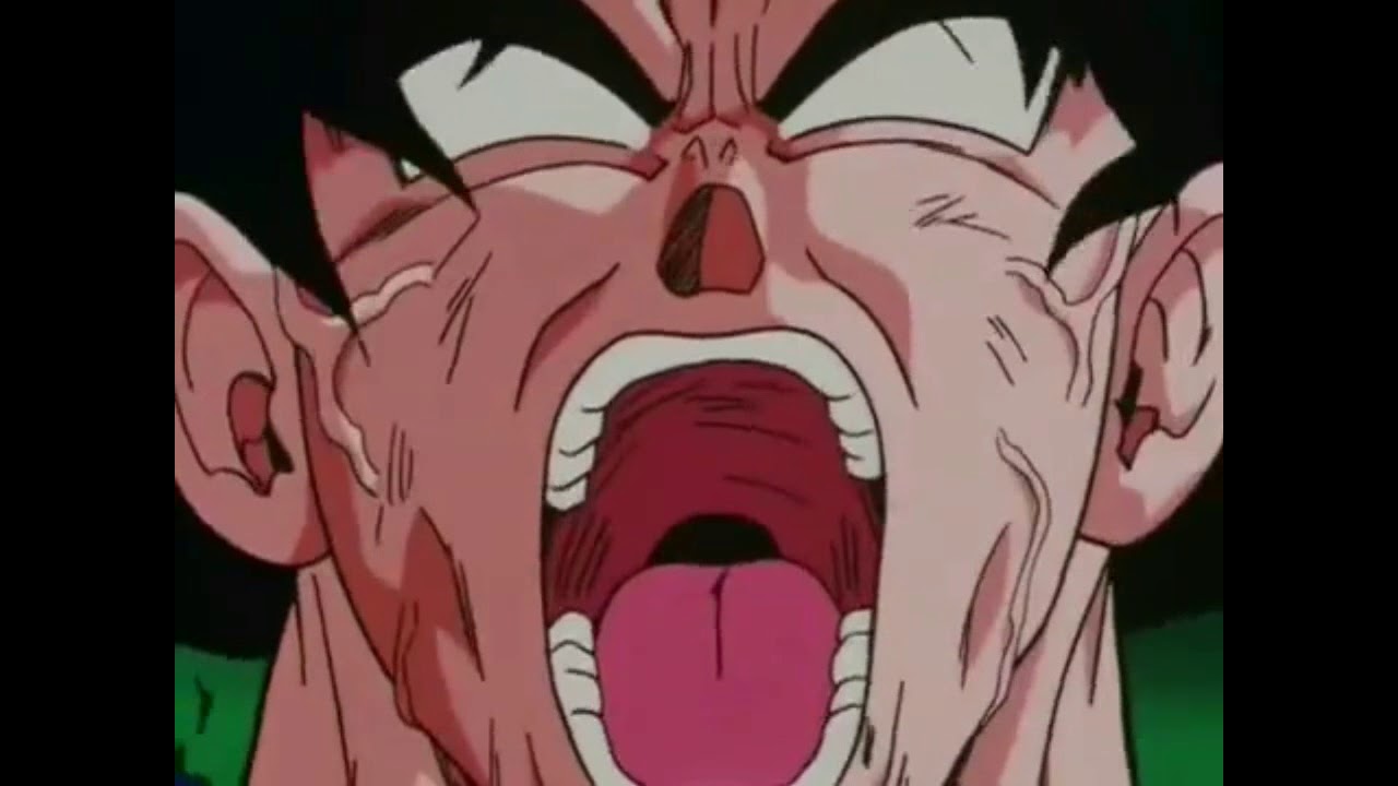 Goku -Living On A Prayer -AMV