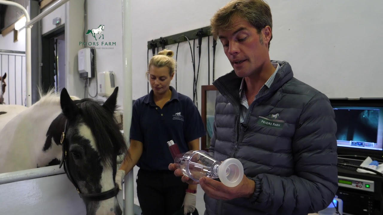 Equine RAO (‘Asthma’)