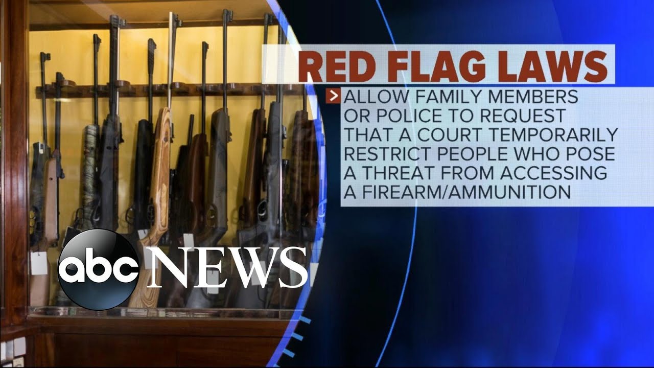 Pressure grows for Congress, Trump to act on gun legislation l ABC News