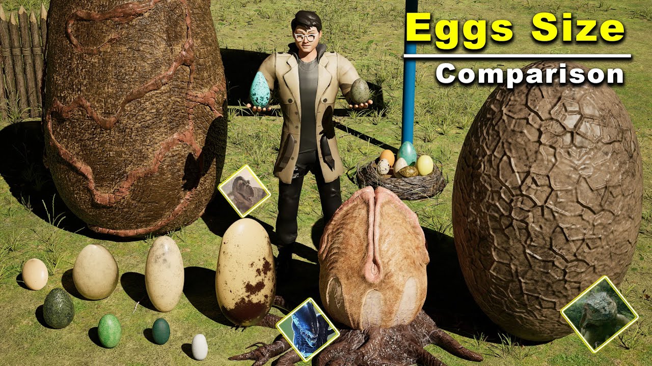 Eggs Size Comparison 3d in Human Hand | #comparison