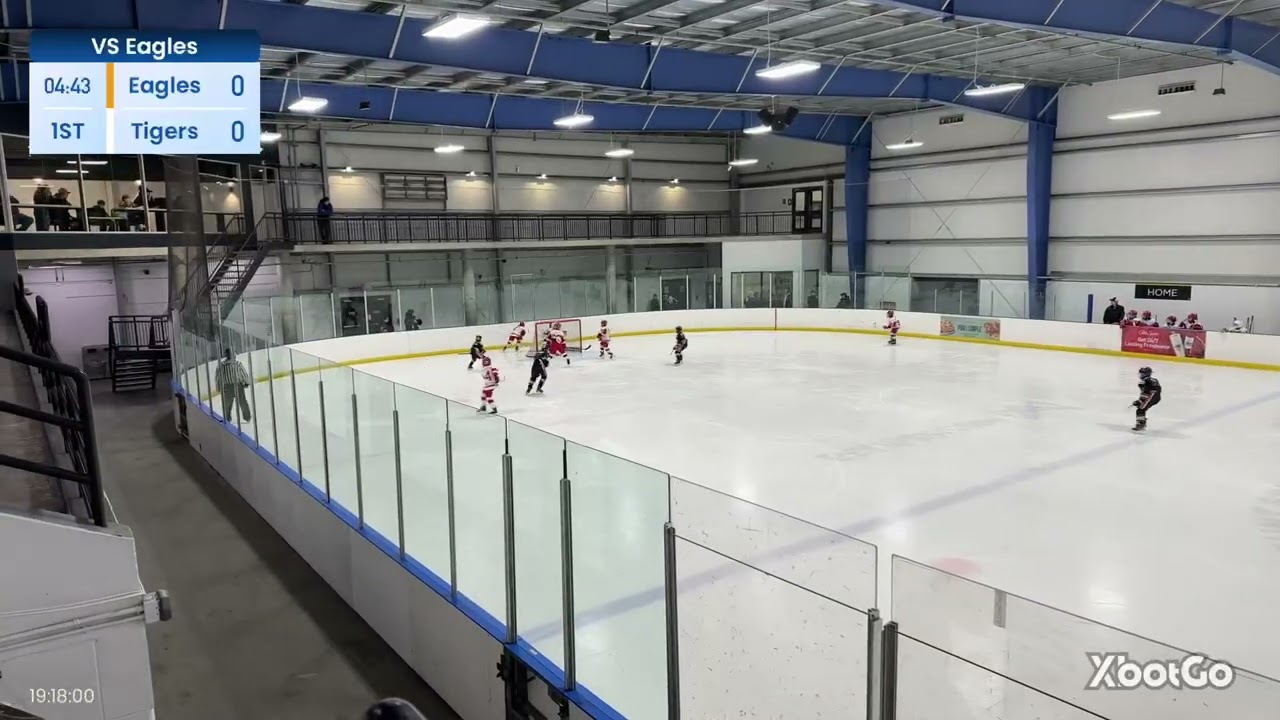 1st Period vs Toronto Eagles on March 3rd