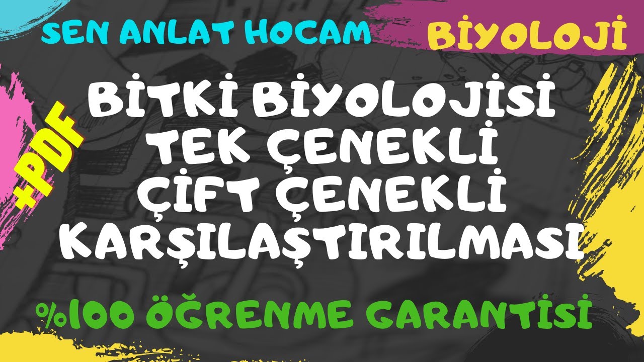 BİTKİ BİYOLOJİSİ KONU ANLATIMI 8 | TEK VE ÇİFT ÇENEKLİ KARŞILAŞTIRMASI | AYT BİYOLOJİ | ✅