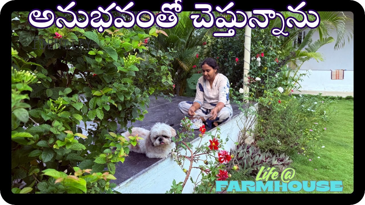 అనుభవంతో చెప్తున్నాను అందంగా, సింపుల్ గా, చేసుకునేలా కట్టుకోండి | 🏡 Facts from My Own Experience 🌿| 