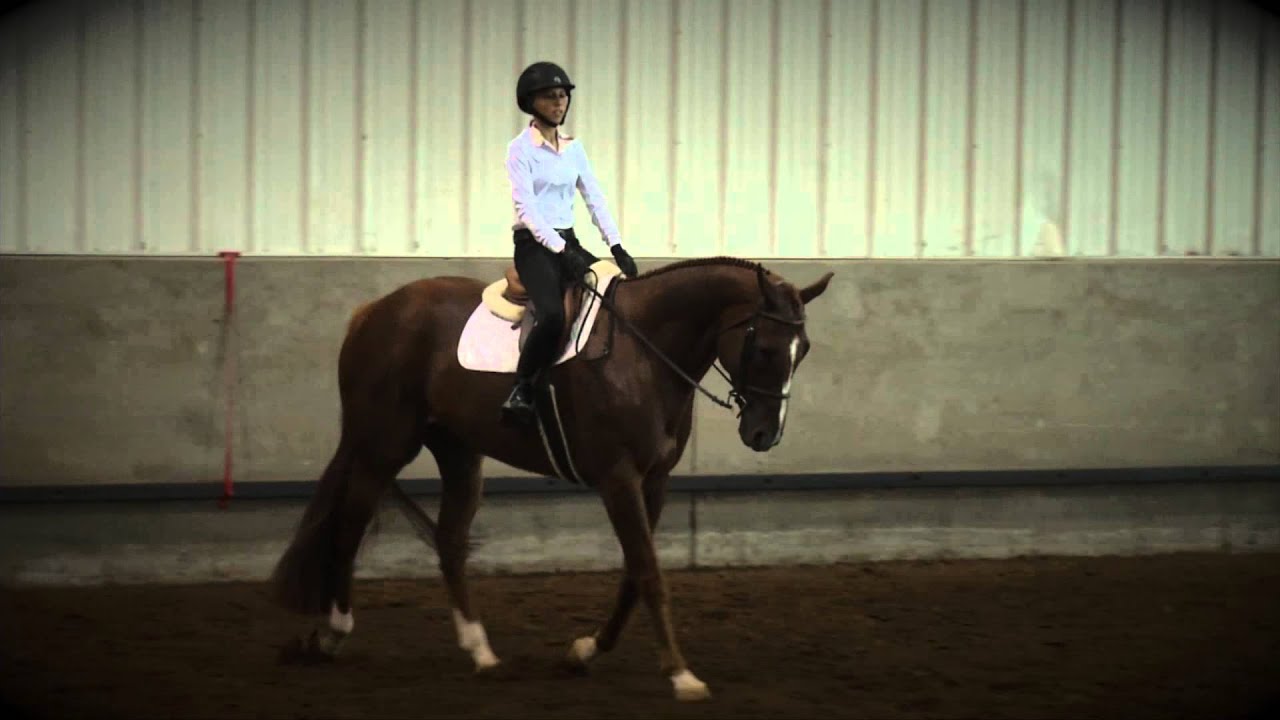 Sitting Trot, Posting Trot and Diagonals