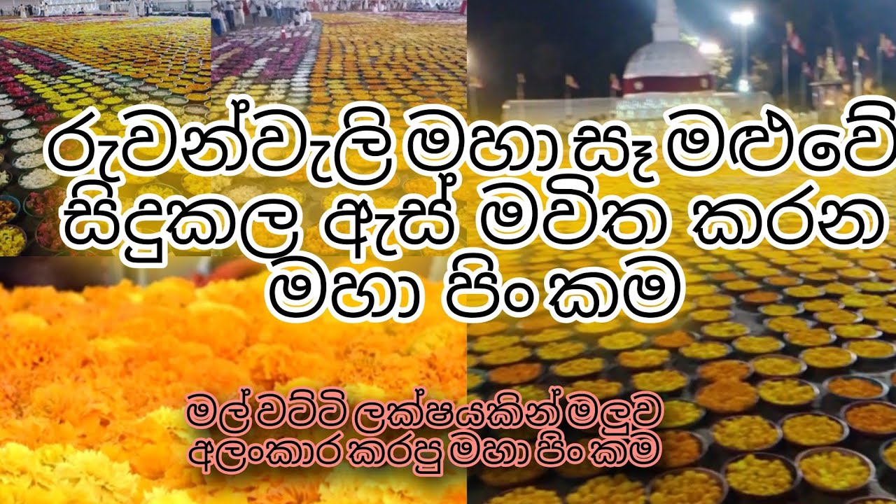 මල් වට්ටි ලක්ෂයකින් මහා සෑ මළුව අතුරපු දුර්ලබ පිංකම..හැමදෙනාම සැදැහැ සිතින් දැක අනුමෝදන් වේවා🙏#sadu 