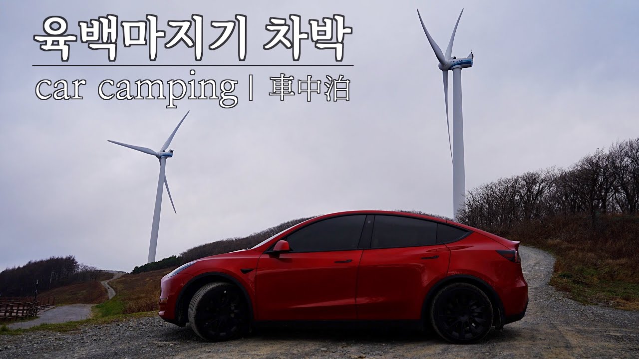 [천안 수퍼차저] 테슬라 모델Y와 함께 떠나는 육백마지기 강풍 속에서의 차박 | car camping | 車中泊 | ASMR