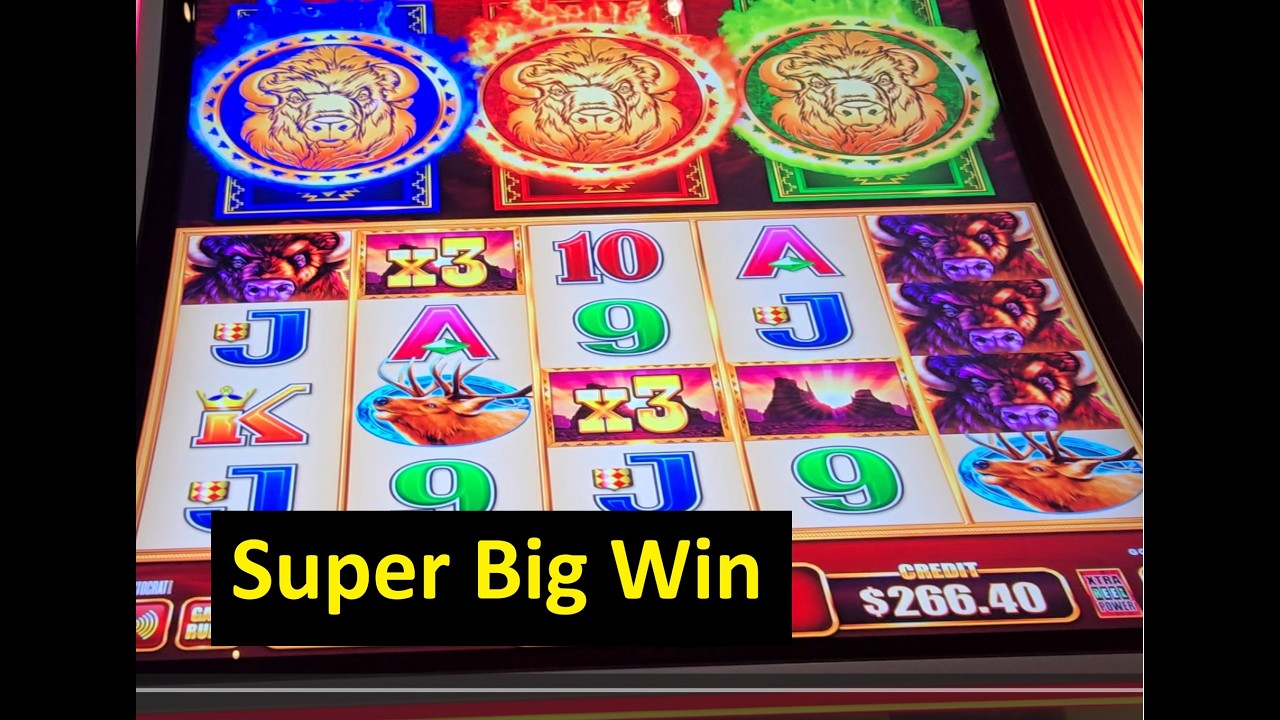 The Super Big Win on the Coin Trio Buffalo Slot! Aristocrat Game