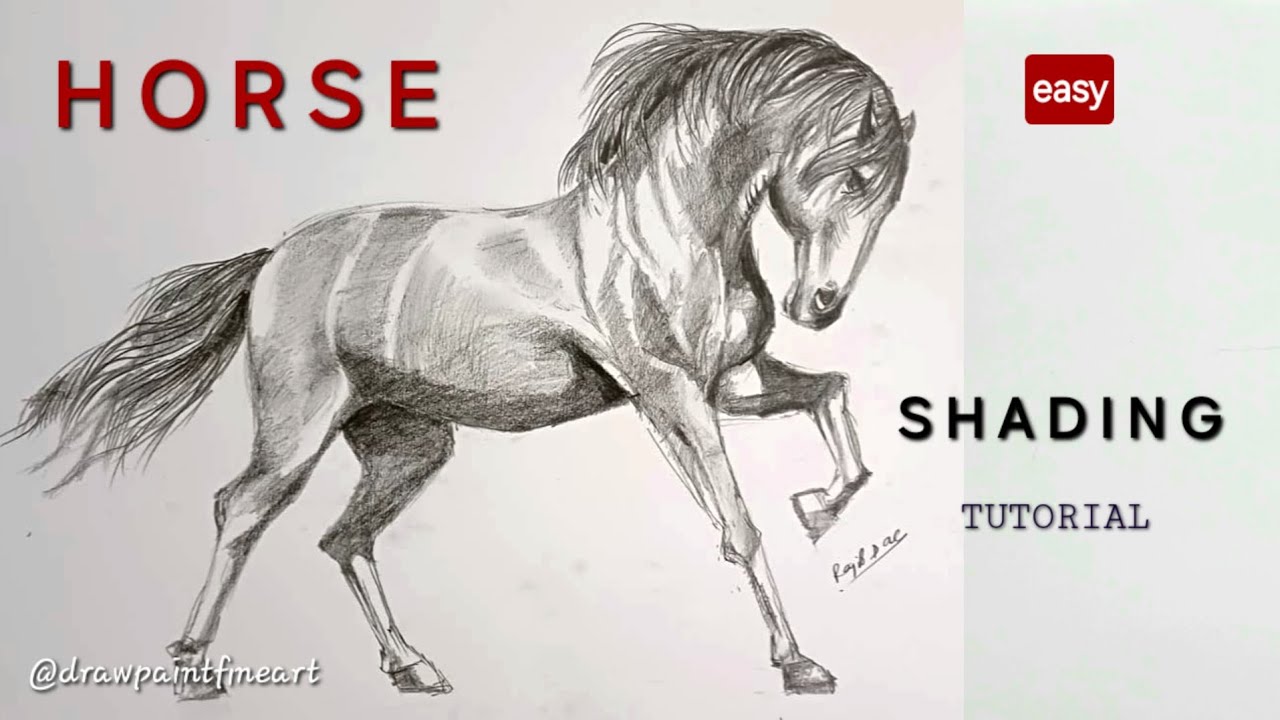 Realistic Horse Drawing Quick Tutorial | Shading Drawing