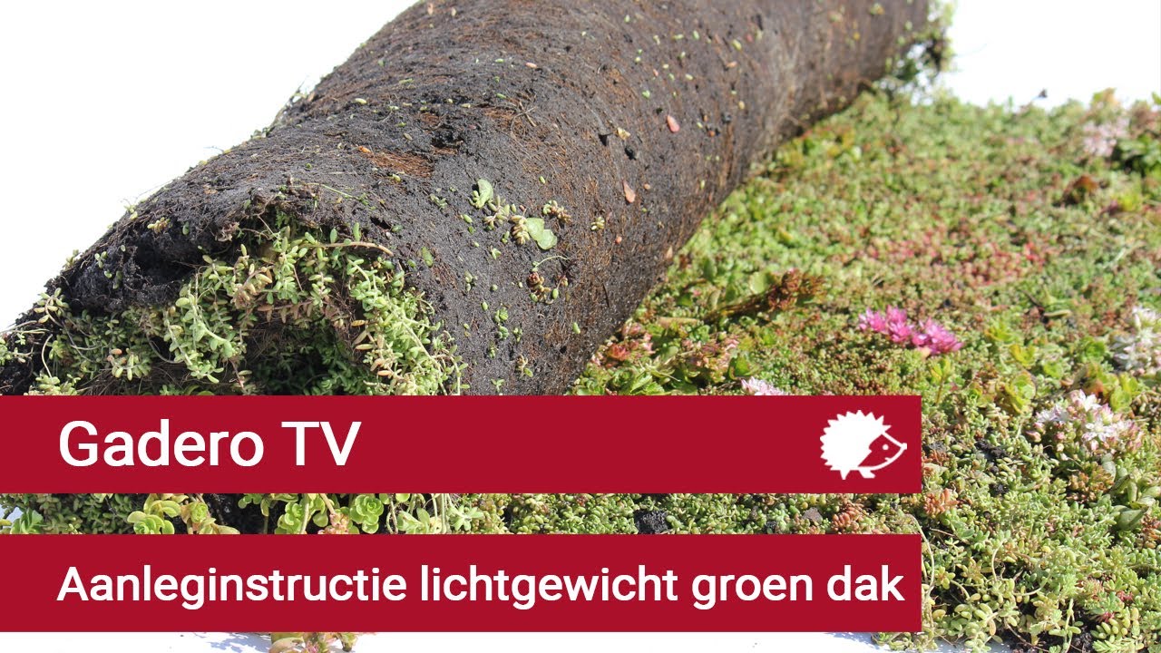 Gadero TV: Aanleginstructie lichtgewicht groen dak