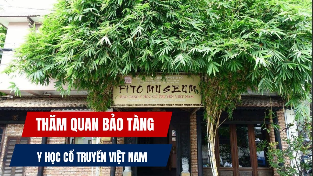 BẢO TÀNG Y HỌC CỔ TRUYỀN ĐẦU TIÊN Ở VIỆT NAM - ĐIỂM THAM QUAN HẤP DẪN TẠI QUẬN 10 - TPHCM