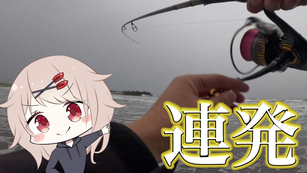 サーフからヒラメが釣れるまで投げる！