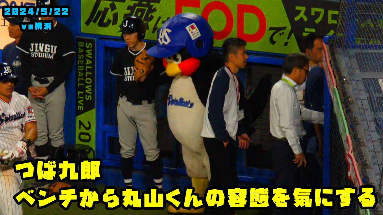 つば九郎　ベンチから丸山くんの容態を気にする　2024/5/22 vs横浜