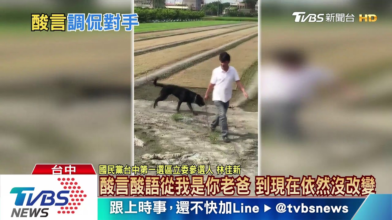 「武雄要選喔」陳其邁酸林佳新　狗來參選