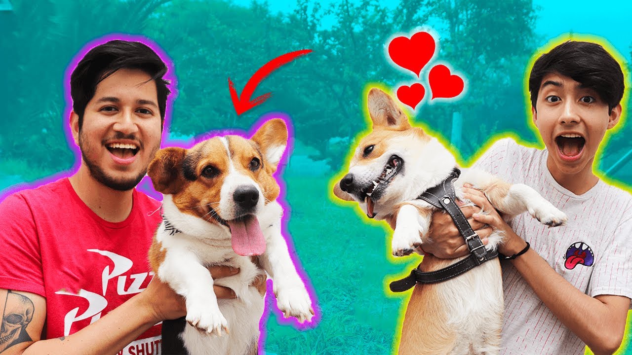 LA CITA ROMÁNTICA DE MI PERRO - BROLAND