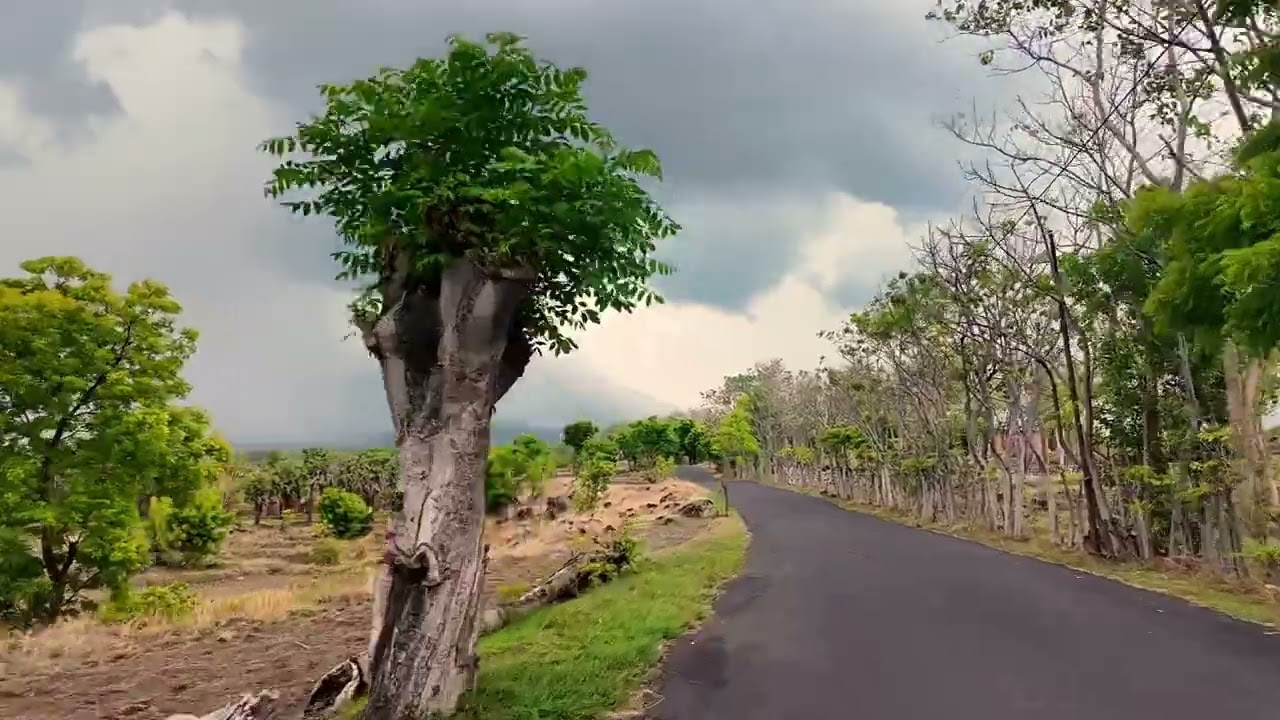 Jalan tersembunyi di karangasem