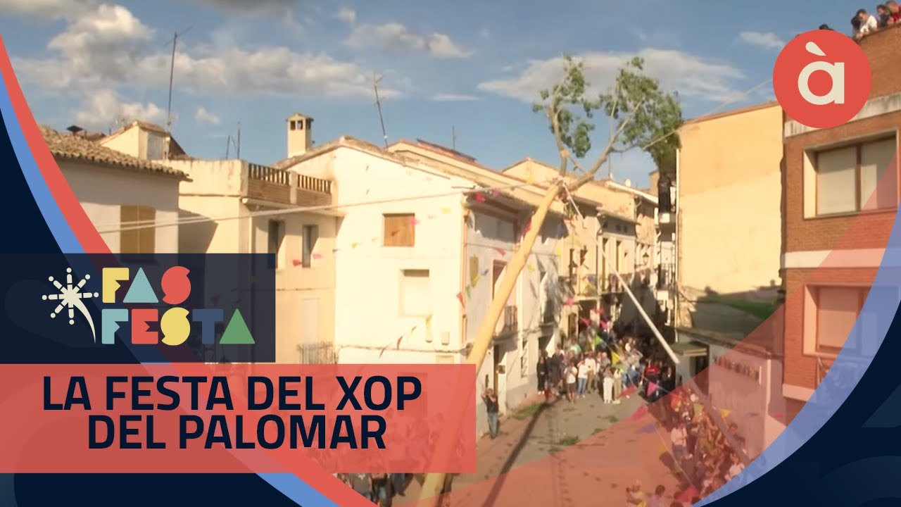 La festa del xop del Palomar  - Fas festa