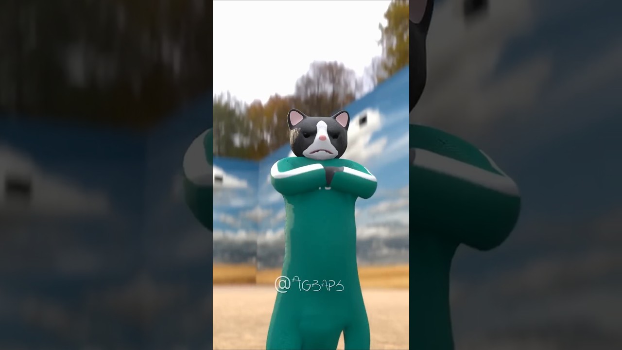 POV: The cat has 9 lives