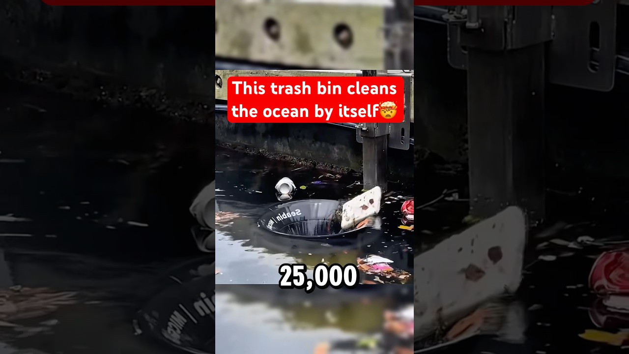 How this floating bin filters 25,000 liters of seawater an hour