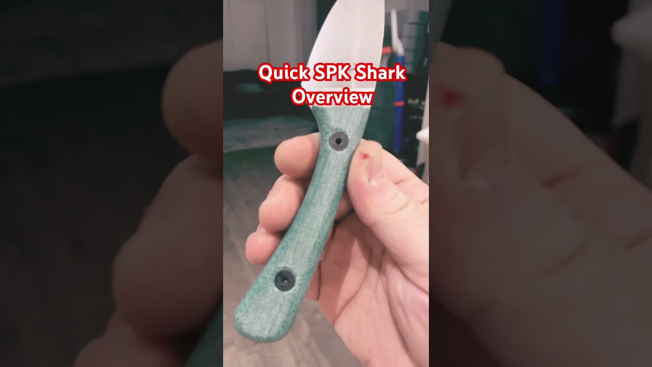 You CAN&rsquo;T Get This KNIFE but you NEED it anyway! #knife #fixedblade #knives #edc