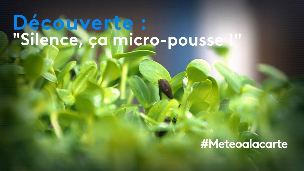 Découverte : 