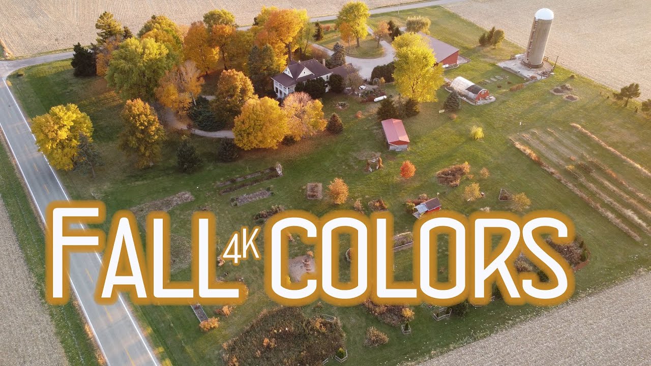 Fall Colors in 4K