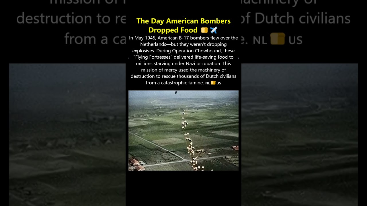 The Day Bombers Saved Lives Instead of Taking Them #history #USA