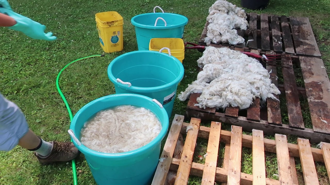 The fermented suint method