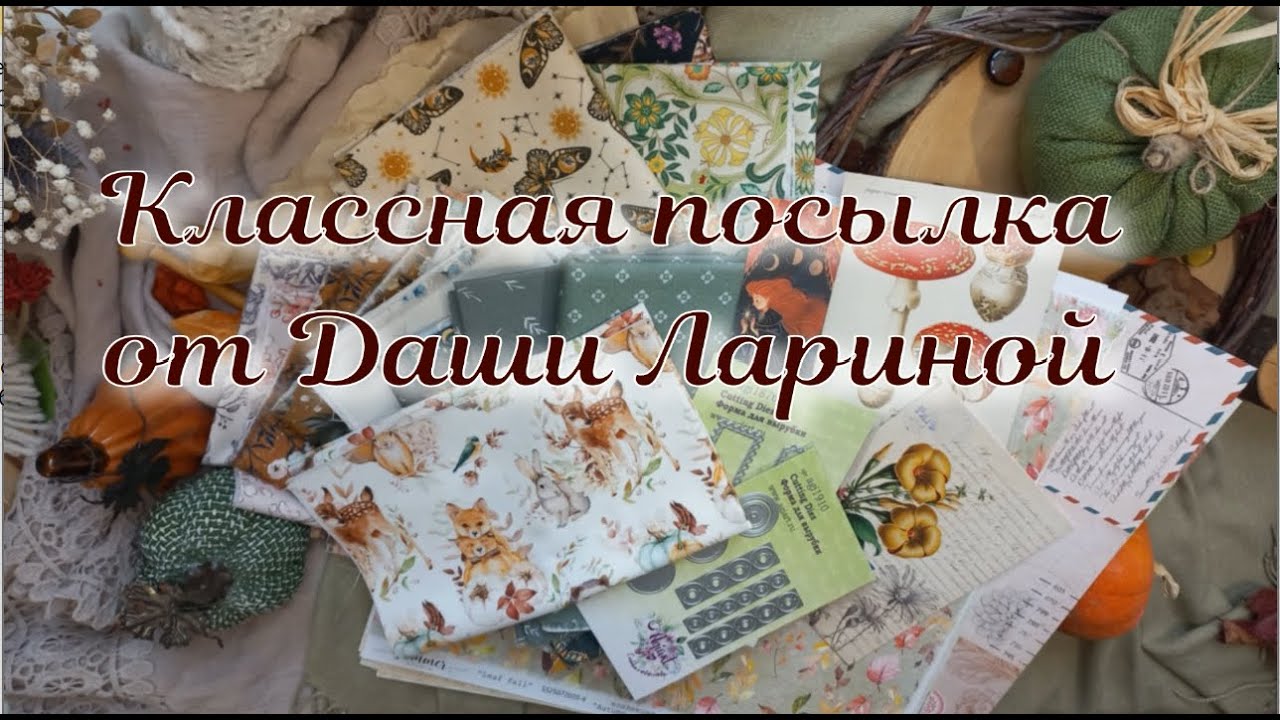 Обзор посылки от Даши Лариной
