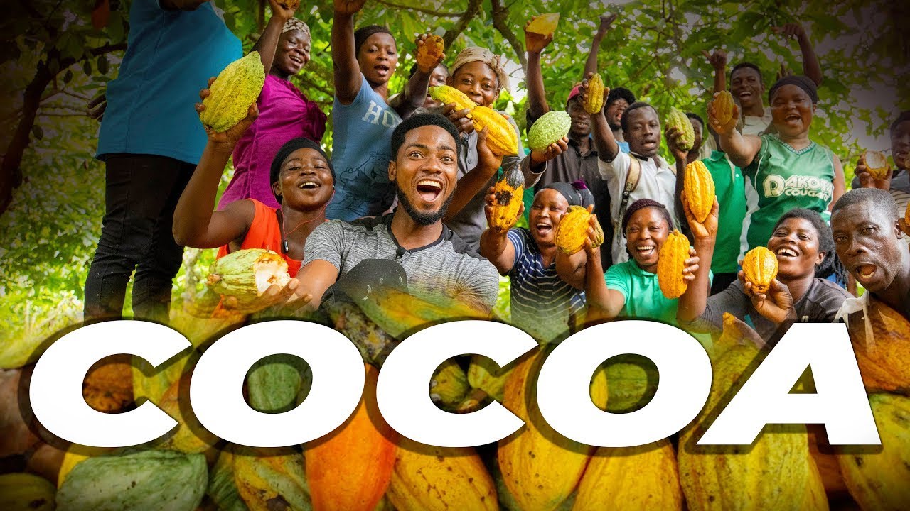 THESE WOMEN STARTED COCOA FARM DUE TO INCREASE DEMAND OF CHOCOLATE