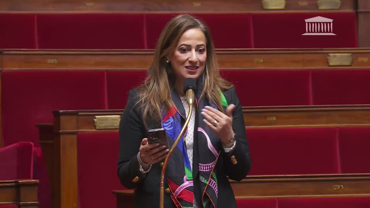 Amélia Lakrafi - 27 mars 2025 - Séance publique de l'Assemblée nationale