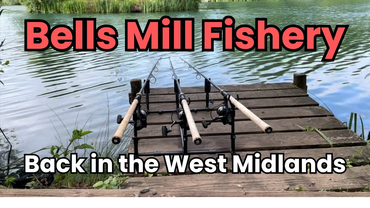 Bells Mill Fishery June 24 || Carp Pool || Swims 2, 3 & 4
